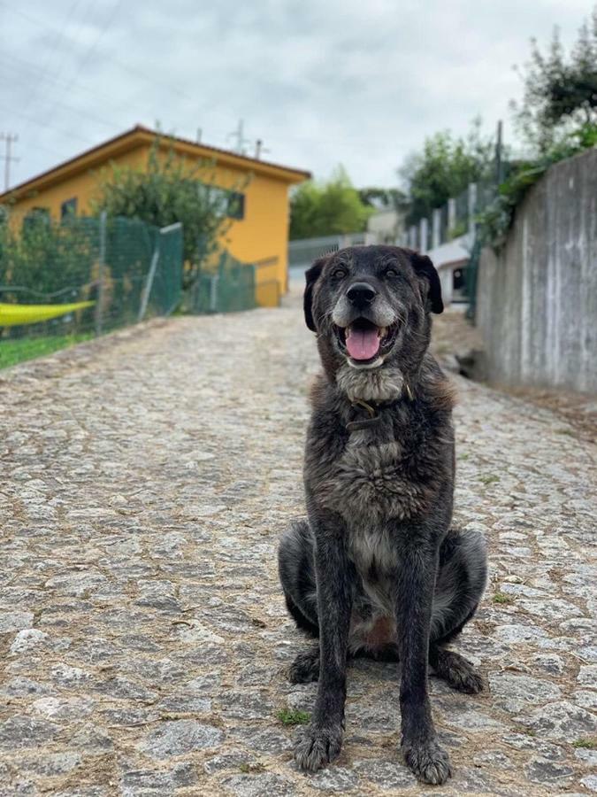 Villa Casinha à Porta Arouca Esterno foto